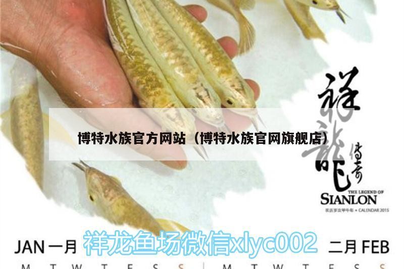 龍魚 博特水族官方網(wǎng)站(博特水族官網(wǎng)旗艦店) 博特水族 博特水族官方網(wǎng)站(博特水族官網(wǎng)旗艦店) 博特水族官方網(wǎng)站(博特水族官網(wǎng)旗艦店) 博特水族