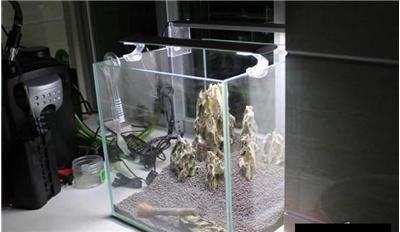超白魚缸和普通魚缸有什么區(qū)別?:超白魚缸和普通魚缸的區(qū)別 魚缸百科 第3張 超白魚缸和普通魚缸有什么區(qū)別?:超白魚缸和普通魚缸的區(qū)別 超白魚缸和普通魚缸有什么區(qū)別?:超白魚缸和普通魚缸的區(qū)別 魚缸百科 第3張