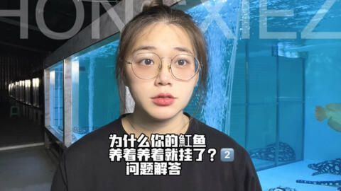 帝王魟魚食物選擇指南