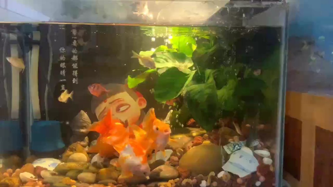 無量天尊 無量天尊 龍魚論壇