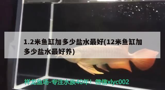 1.2米魚缸加多少鹽水最好(12米魚缸加多少鹽水最好養)