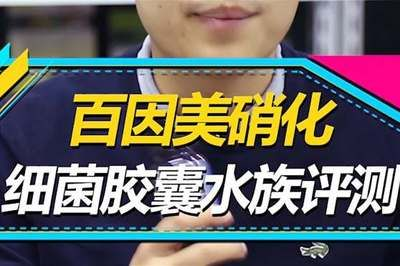 百因美硝化細(xì)菌評(píng)測(cè)(養(yǎng)錦鯉用什么牌子硝化細(xì)菌好) 森森魚(yú)缸 第1張 百因美硝化細(xì)菌評(píng)測(cè)(養(yǎng)錦鯉用什么牌子硝化細(xì)菌好) 百因美硝化細(xì)菌評(píng)測(cè)(養(yǎng)錦鯉用什么牌子硝化細(xì)菌好) 森森魚(yú)缸 第1張