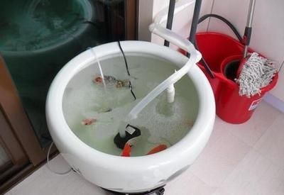 拆魚缸用什么線：如何拆卸魚缸？