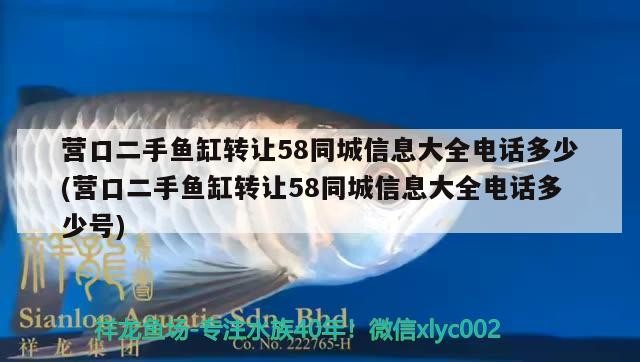 營口二手魚缸轉(zhuǎn)讓58同城信息大全電話多少(營口二手魚缸轉(zhuǎn)讓58同城信息大全電話多少號(hào))