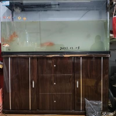 超市魚缸養魚技巧視頻：超市養魚技巧