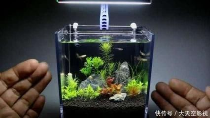 大魚缸介紹：大型魚缸的常用材質包括水晶玻璃、亞克力和膠合玻璃