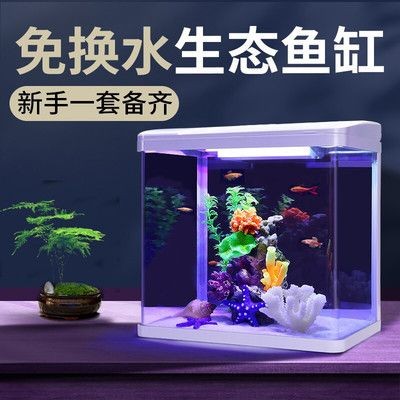 大魚缸介紹：大型魚缸的常用材質包括水晶玻璃、亞克力和膠合玻璃