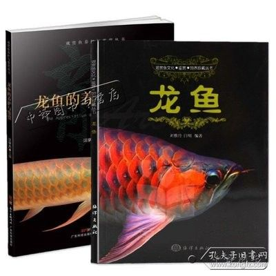 龍魚的養殖技術與方法大全