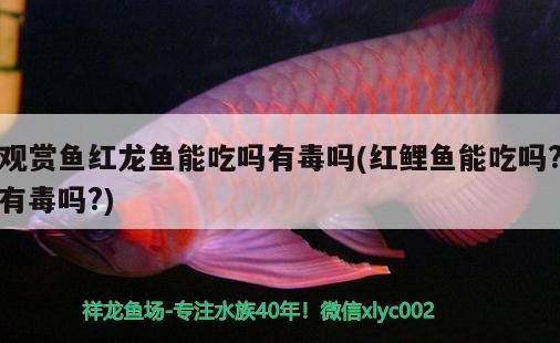 玉溪魚缸維修店地址在哪里呀(玉田哪里有賣魚缸的) 玉溪魚缸維修店地址在哪里呀(玉田哪里有賣魚缸的) 森森魚缸 第1張