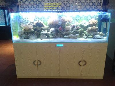 大瀝哪里有魚缸買賣的地方啊：佛山哪里可以買到魚缸？ 大瀝哪里有魚缸買賣的地方啊：佛山哪里可以買到魚缸？ 魚缸百科 第1張