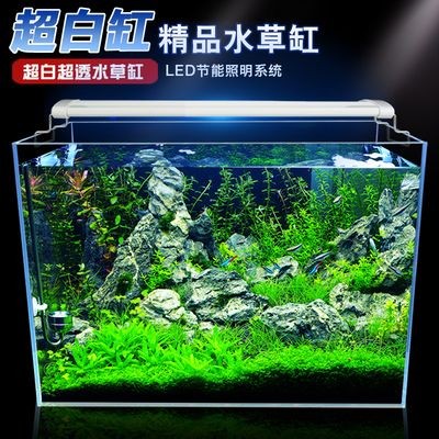 超白魚缸容易出現劃痕：超白魚缸劃痕怎么辦 超白魚缸容易出現劃痕：超白魚缸劃痕怎么辦 魚缸百科 第1張