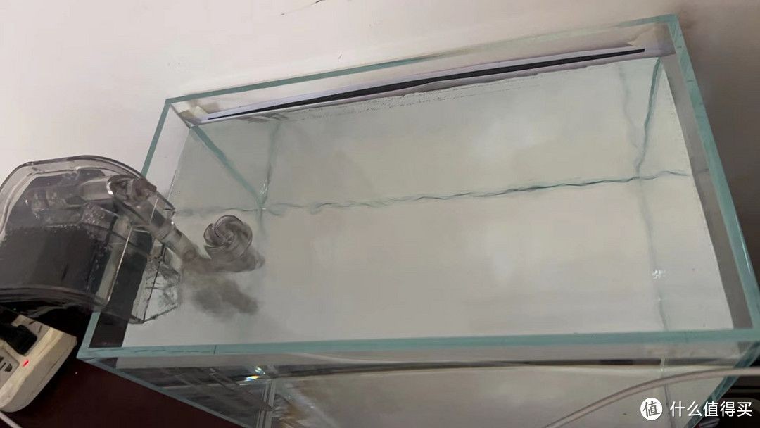 大魚缸養金魚好嗎：大魚缸養金魚有什么優缺點？