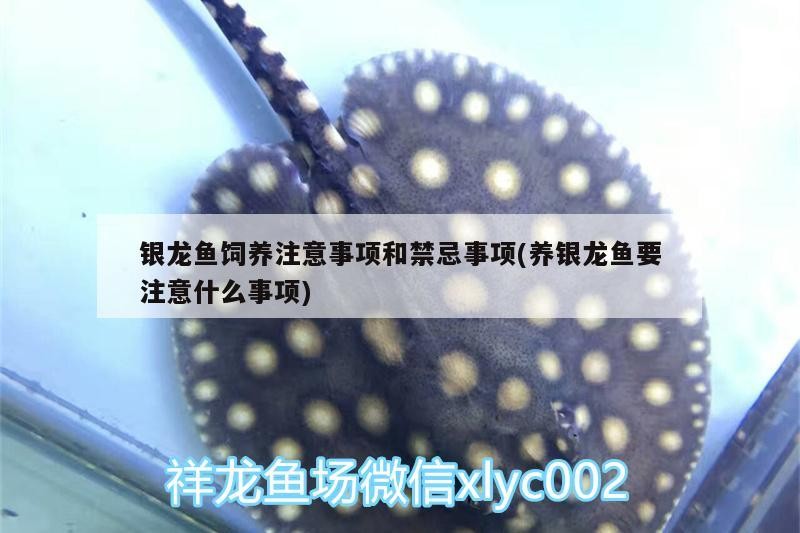 過背金龍金頭表現多久能改善,過背金龍魚的“金頭”表現有哪些品牌的金頭金龍魚推薦 龍魚百科 第2張 過背金龍金頭表現多久能改善,過背金龍魚的“金頭”表現有哪些品牌的金頭金龍魚推薦 過背金龍金頭表現多久能改善,過背金龍魚的“金頭”表現有哪些品牌的金頭金龍魚推薦 龍魚百科 第2張