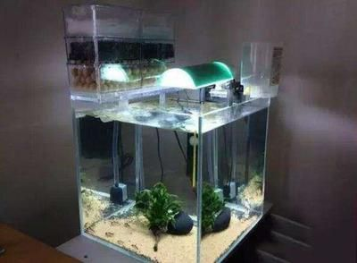 超白缸魚缸滴流過濾承重：超白缸與滴流過濾系統的組合在使用時需要注意承重問題
