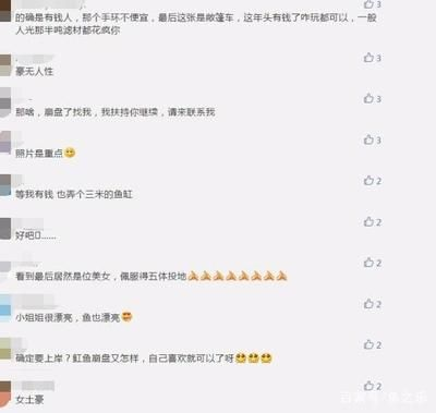 繁殖后魟魚缸環境調整，魟魚繁殖后水質監控技巧