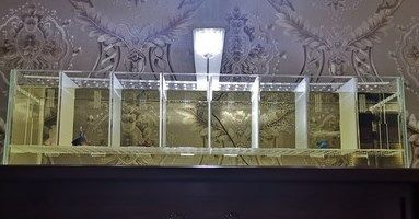 白玻璃魚(yú)缸冬天可以放在戶外嗎:玻璃魚(yú)缸在冬季可以放在戶外嗎? 魚(yú)缸百科 第3張 白玻璃魚(yú)缸冬天可以放在戶外嗎:玻璃魚(yú)缸在冬季可以放在戶外嗎? 白玻璃魚(yú)缸冬天可以放在戶外嗎:玻璃魚(yú)缸在冬季可以放在戶外嗎? 魚(yú)缸百科 第3張