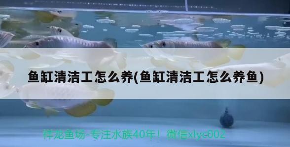 漯河哪里有賣魚缸的地方啊電話的，河南漯河哪里有賣魚缸的地方啊電話的信息別忘了關注祥龍魚場哦