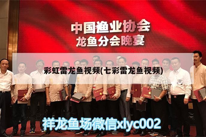 魚缸過濾器選購指南:自制魚缸過濾器魚缸上置過濾器對于養魚愛好者的必備知識 彩虹雷龍魚視頻(七彩雷龍魚視頻) 虎魚百科 彩虹雷龍魚視頻(七彩雷龍魚視頻) 彩虹雷龍魚視頻(七彩雷龍魚視頻) 虎魚百科