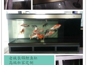 魟魚在魚缸的作用是什么：魟魚在魚缸中的作用 魟魚在魚缸的作用是什么：魟魚在魚缸中的作用 魟魚百科 第1張