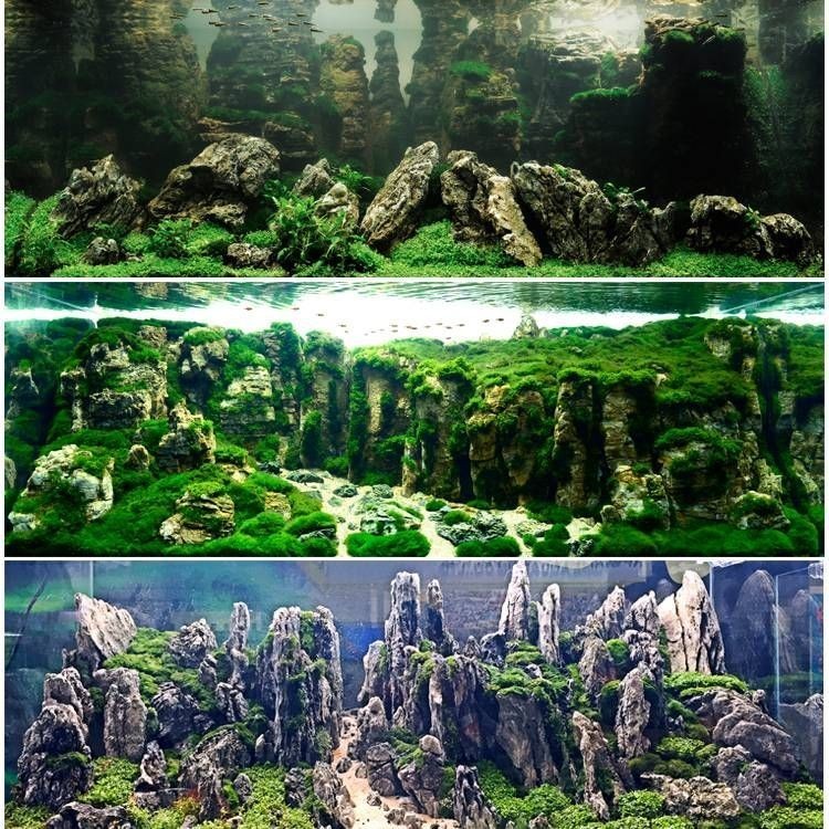 1米2魚缸純青龍石造景：1米2魚缸純青龍石造景需要注意什么？