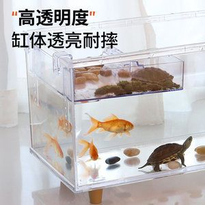 慈鯛魚缸怎么搭配好：慈鯛魚缸如何搭配 慈鯛魚缸怎么搭配好：慈鯛魚缸如何搭配 魚缸百科 第3張