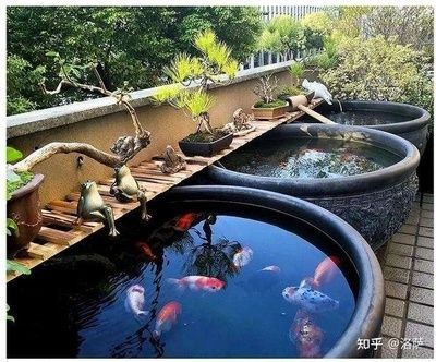 大水缸做魚缸好不好：古法養(yǎng)魚的注意事項(xiàng)古法養(yǎng)魚需要注意以下幾點(diǎn)