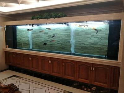 定做亞克力魚缸