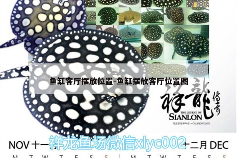 魚缸客廳擺放位置:魚缸擺放客廳位置圖 魚缸客廳擺放位置:魚缸擺放客廳位置圖 觀賞魚百科