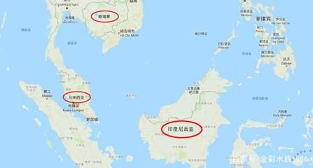 印度紅龍魚價格表最新行情：印度紅龍魚價格受多種因素影響