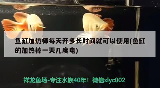 魚缸加熱棒每天開多長時間就可以使用(魚缸的加熱棒一天幾度電) 魚缸加熱棒每天開多長時間就可以使用(魚缸的加熱棒一天幾度電) 魟魚百科