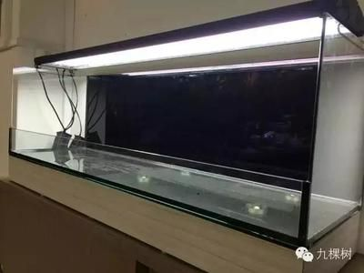 1.8米魚缸用多長的燈管：1.8米的魚缸用多長的燈管 1.8米魚缸用多長的燈管：1.8米的魚缸用多長的燈管 魚缸百科 第3張