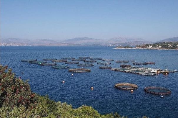 上海市普陀區嬌美水族館（上海市普陀區嬌美水族館地址）