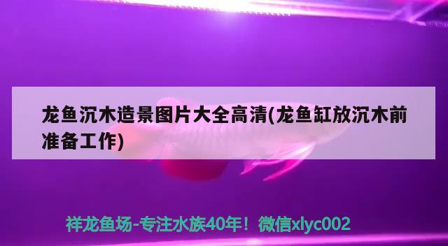 龍魚沉木造景圖片大全高清(龍魚缸放沉木前準備工作)