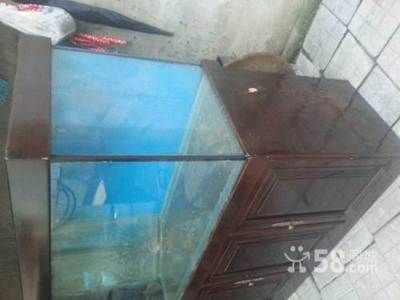玻璃店做個(gè)魚缸多少錢1米8：玻璃店做魚缸價(jià)格受到多種因素影響，需要注意哪些因素