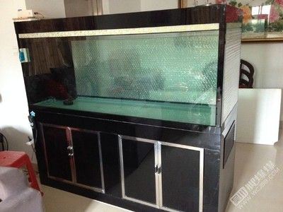 玻璃店做個(gè)魚缸多少錢1米8：玻璃店做魚缸價(jià)格受到多種因素影響，需要注意哪些因素