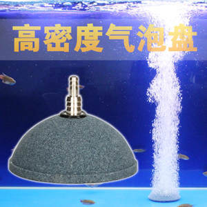 與龍魚混養的熱帶魚有哪些（與龍魚混養的熱帶魚有哪些品種）