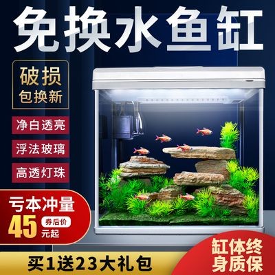 帶循環(huán)系統(tǒng)的魚缸多久換水：養(yǎng)魚與季節(jié)變化的關(guān)系探討?zhàn)B魚與季節(jié)變化的關(guān)系