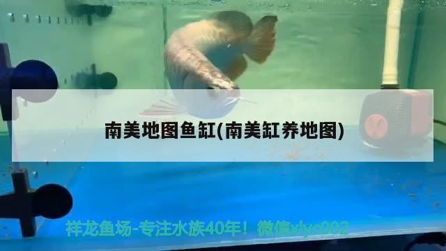 南美地圖魚缸(南美缸養地圖)