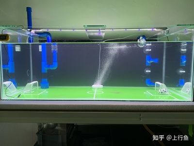 玻璃魚缸如何打孔：如何在玻璃魚缸上打孔