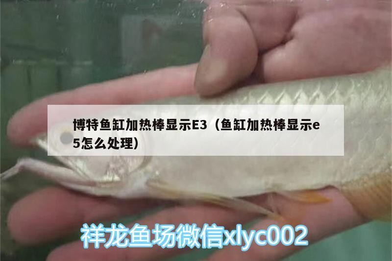 博特魚缸加熱棒顯示E3（魚缸加熱棒顯示e5怎么處理） 博特魚缸加熱棒顯示E3（魚缸加熱棒顯示e5怎么處理） 博特水族