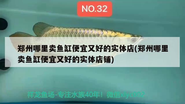 鄭州哪里賣(mài)魚(yú)缸便宜又好的實(shí)體店(鄭州哪里賣(mài)魚(yú)缸便宜又好的實(shí)體店鋪)