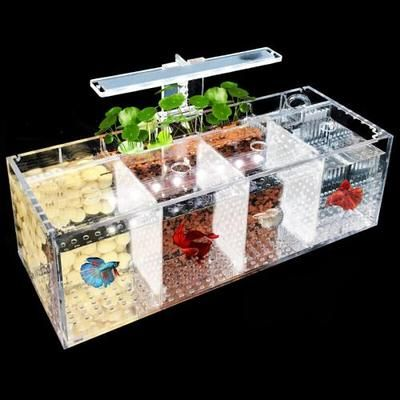 斗魚缸制作方法：diy創意斗魚缸制作方法