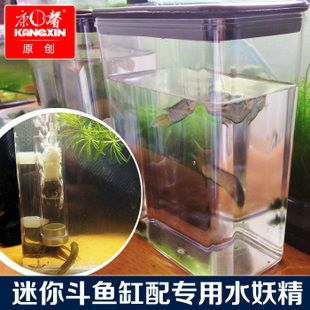 斗魚缸制作方法：diy創意斗魚缸制作方法