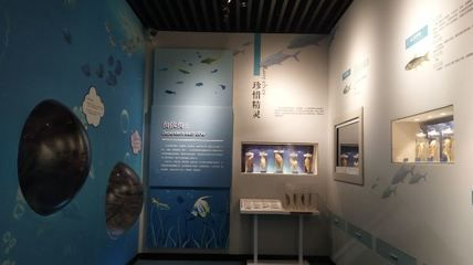河池水族館vs祥龍魚場（河池水族館和祥龍魚場各有側重）