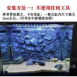 虎魚色彩的秘密你知道嗎？：色彩心理學選擇虎魚缸背景選擇3d仿真背景板美觀且逼真 虎魚色彩的秘密你知道嗎？：色彩心理學選擇虎魚缸背景選擇3d仿真背景板美觀且逼真 虎魚百科 第2張