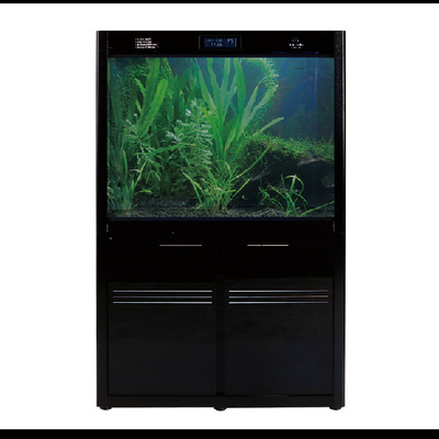 臨渭區海夢時尚水族（臨渭區海夢時尚水族館電話） 臨渭區海夢時尚水族（臨渭區海夢時尚水族館電話） 全國水族館企業名錄 第2張