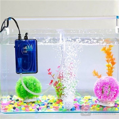 魚缸哪個品牌最好