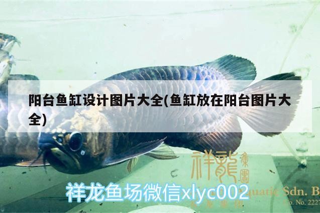 陽臺魚缸設計圖片大全(魚缸放在陽臺圖片大全)