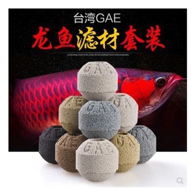 紅龍魚常見疾病及防治：紅龍魚常見的疾病及其治療方法