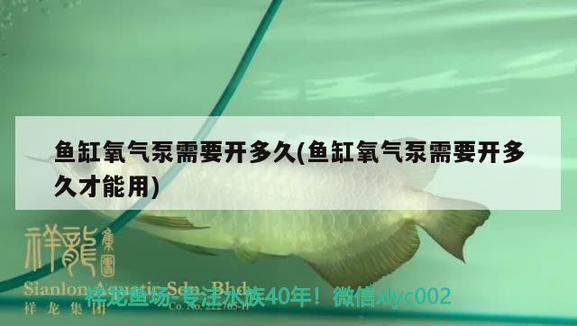 魚缸氧氣泵需要開多久(魚缸氧氣泵需要開多久才能用)